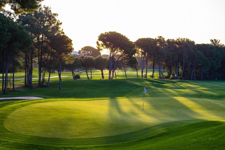 Montgomerie Maxx Royal Golf Club 464