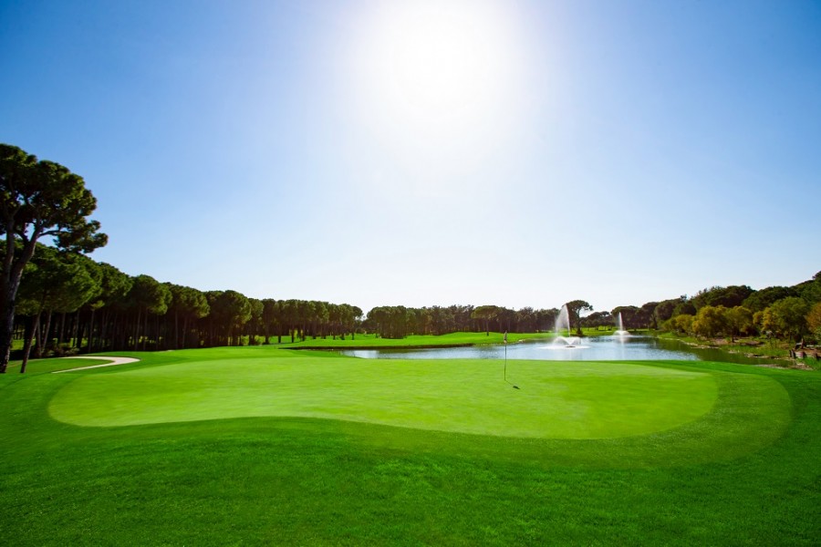 Montgomerie Maxx Royal Golf Club 1309