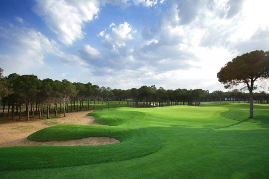 Montgomerie Maxx Royal Golf Club 1313