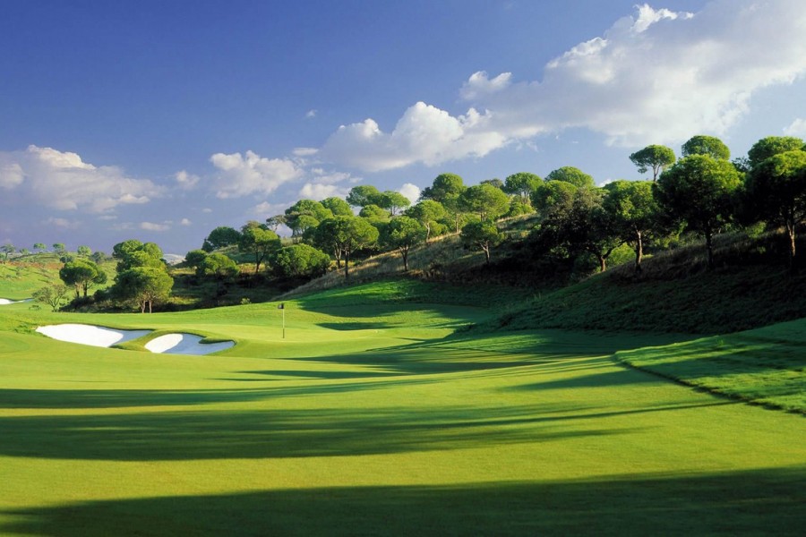 Sueno Golf Club Pines 1405