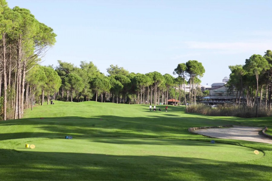 Sueno Golf Club Pines 193