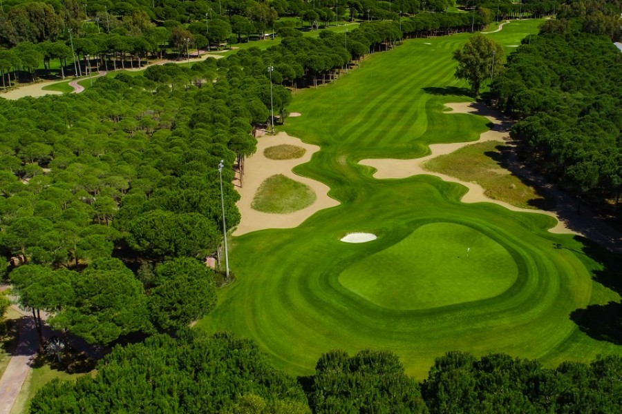Montgomerie Maxx Royal Golf Club 1307
