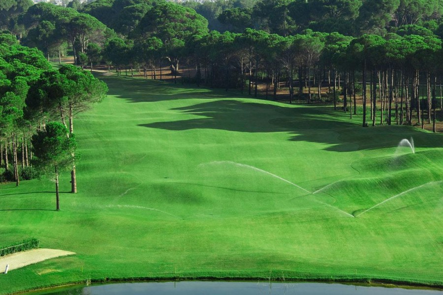 Sueno Golf Club Pines 195
