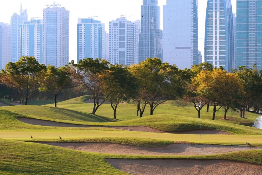 Montgomerie Golf Club Dubai 4092