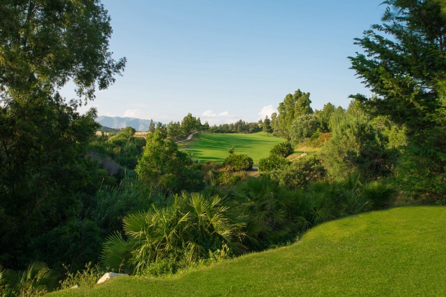El Chaparral Golf Club 2468