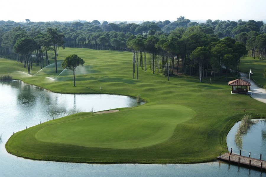 Sueno Golf Club Pines 3597